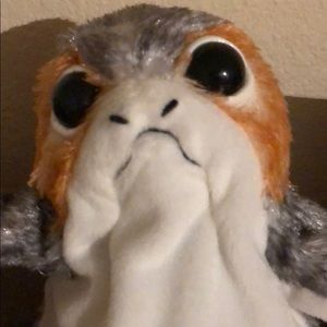 Meet your Posher, Shae